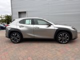 Used 2021 Lexus UX 250h image 4