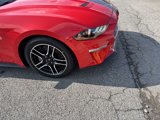 Used 2022 Ford Mustang GT w/ Equipment Group 301A image 4