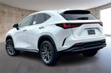 New 2025 Lexus NX 350 AWD image 3