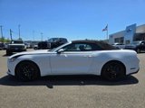 Certified 2017 Ford Mustang Premium w/ Ecoboost Performance Package image 2