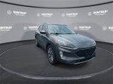 Used 2022 Ford Escape Titanium image 3