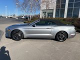 Used 2022 Ford Mustang Premium image 3