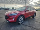 Used 2020 Ford Escape SEL image 5