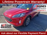 Used 2020 Ford Escape Titanium image 4