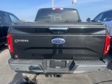 Used 2015 Ford F150 XLT image 5