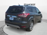Used 2016 Ford Escape SE w/ SE Chrome Package image 5