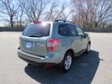 Used 2016 Subaru Forester 2.5i Premium image 5