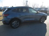 New 2025 Ford Escape ST-Line w/ Equipment Group 301A image 3