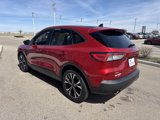 Certified 2022 Ford Escape SE w/ SE Sport Appearance Package image 3