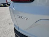 Used 2020 Honda CR-V EX-L image 5