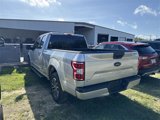 Used 2019 Ford F150 XLT w/ Equipment Group 302A Luxury image 5