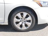 Used 2009 Honda Accord EX-L image 5