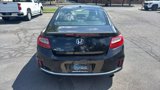 Used 2013 Honda Accord EX-L image 4