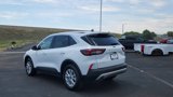Used 2024 Ford Escape Active w/ Tech Pack #2 image 3