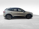 Used 2022 Ford Escape SE w/ SE Sport Appearance Package image 3