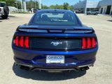 Used 2019 Ford Mustang Premium w/ Ecoboost Performance Package image 4