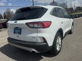 Used 2020 Ford Escape SE image 3