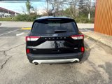 Used 2020 Ford Escape SEL image 6