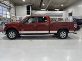 Used 2014 Ford F150 XLT w/ Equipment Group 302A Luxury image 5