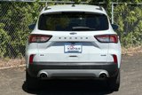 Used 2020 Ford Escape SE image 5