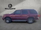 View Video