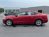 Used 2019 Ford Fusion SE image 4