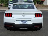 Used 2024 Ford Mustang Premium image 4