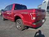 Used 2017 Ford F150 XLT w/ Equipment Group 302A Luxury image 5