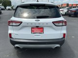 Used 2021 Ford Escape SEL image 4
