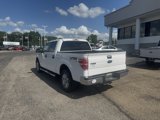 Used 2013 Ford F150 XLT image 5