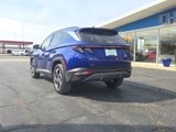 Used 2024 Hyundai Tucson Limited image 5