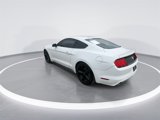 Used 2016 Ford Mustang Coupe w/ Equipment Group 051A image 2