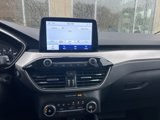 Used 2020 Ford Escape SE image 4