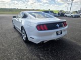 Used 2016 Ford Mustang Coupe image 5