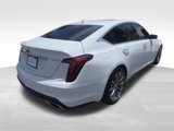 Certified 2020 Cadillac CT5 Premium Luxury image 5