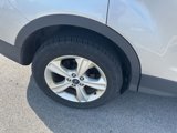 Used 2015 Ford Escape SE image 4