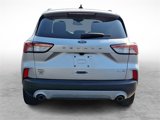Certified 2020 Ford Escape SEL image 5