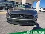 Used 2021 Ford Mustang Premium w/ Pony Package image 3