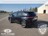 New 2025 Ford Escape ST-Line w/ Tech Pack #1 image 3