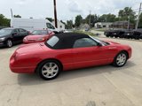 Used 2005 Ford Thunderbird image 5