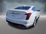 New 2025 Cadillac CT5 Premium Luxury image 5