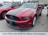 Used 2014 Ford Mustang Premium w/ Equipment Group 202A image 3