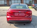 Used 2016 Ford Focus SE w/ SE Cold Weather Package image 4