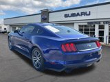 Used 2016 Ford Mustang Premium w/ Equipment Group 201A image 5