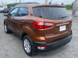 Used 2019 Ford EcoSport SE w/ SE Convenience Package image 3