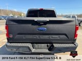 Used 2019 Ford F150 XLT w/ Equipment Group 302A Luxury image 4