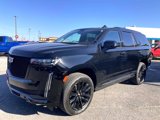 Used 2024 Cadillac Escalade Sport Platinum image 5