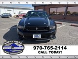 Used 2014 Ford Mustang GT Premium w/ Equipment Group 402A image 2