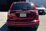 Used 2011 Honda CR-V EX-L image 5