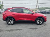 Used 2020 Ford Escape Titanium image 5
